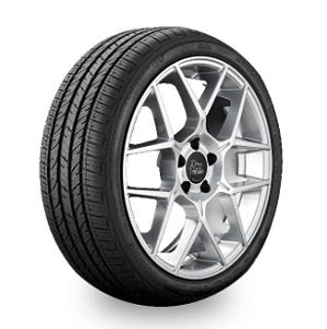 Turanza LS100 - 225/50R18 SL 95H