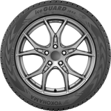iceGUARD IG53 - 205/55R16 91H