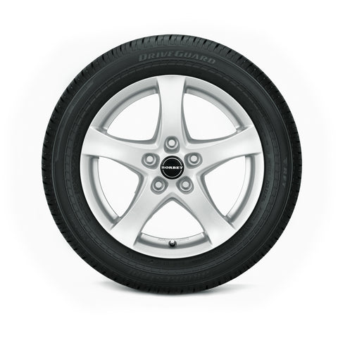 Driveguard online