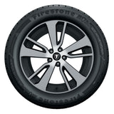 WeatherGrip - 225/65R17 102H